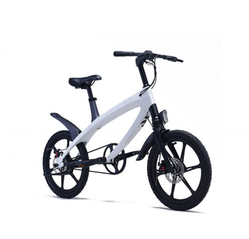 Electric Bike Lehe S1