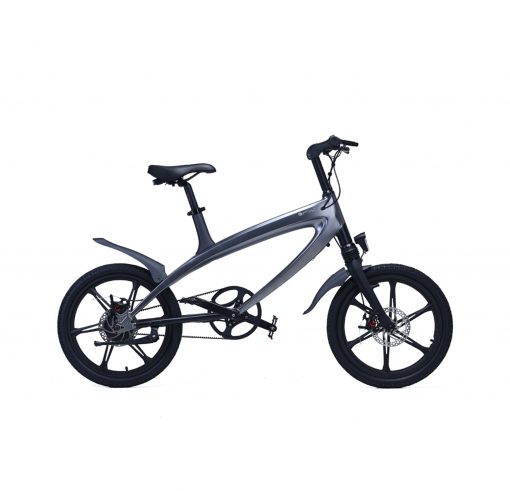 Electric Bike Lehe S1