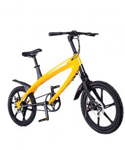 Electric Bike Lehe S1