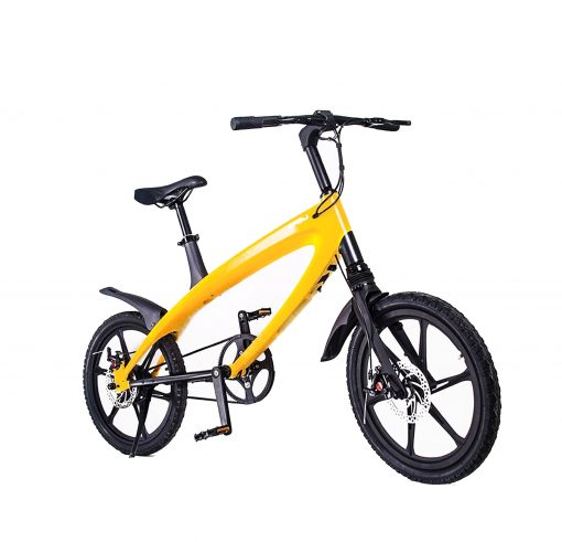 Electric Bike Lehe S1