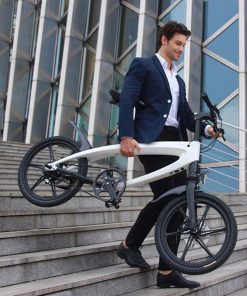 Electric Bike Lehe S1