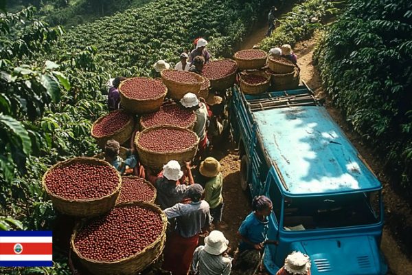 Cafè Costa Rica